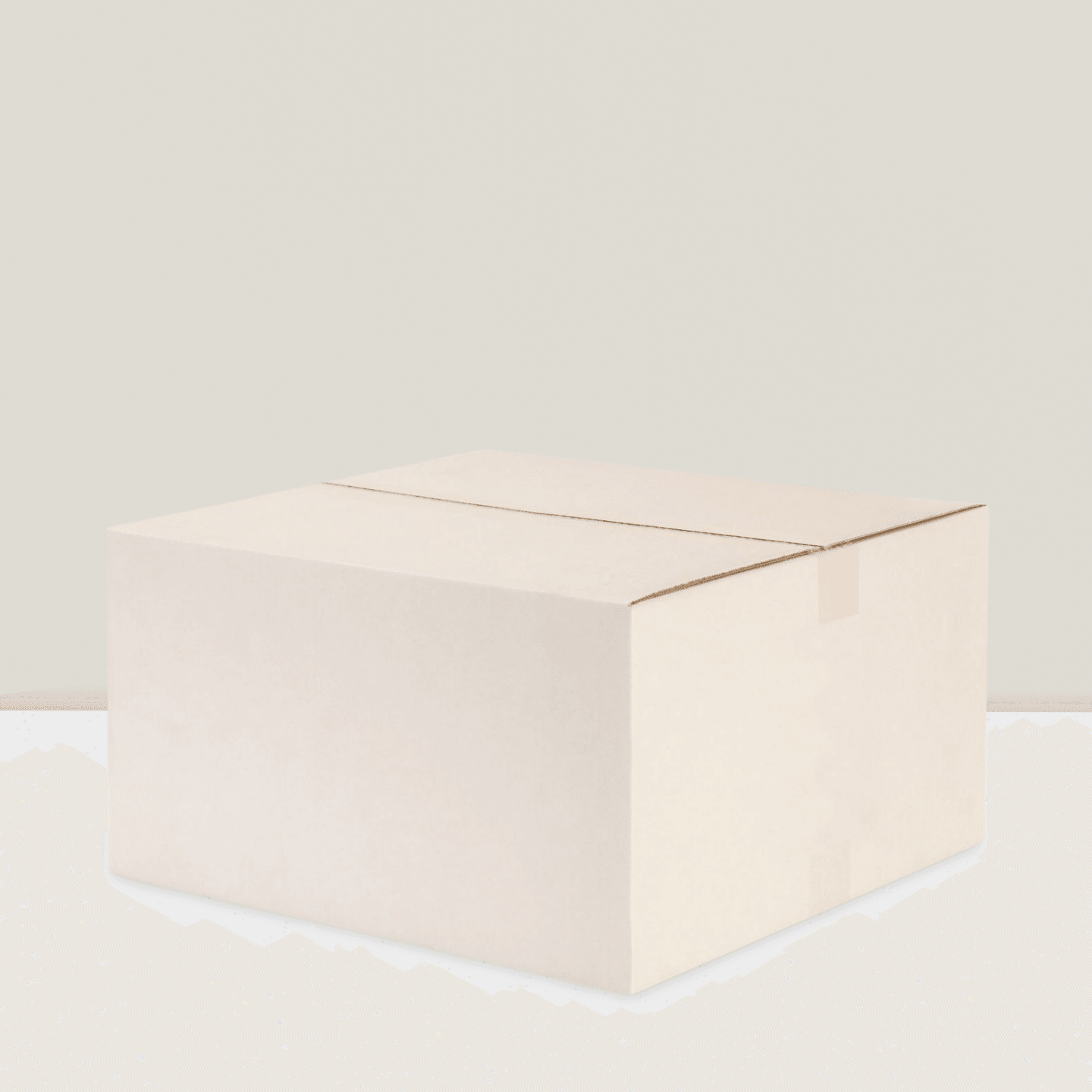 Karton mit 3000 saugstarken Multifold Papierhandtüchern