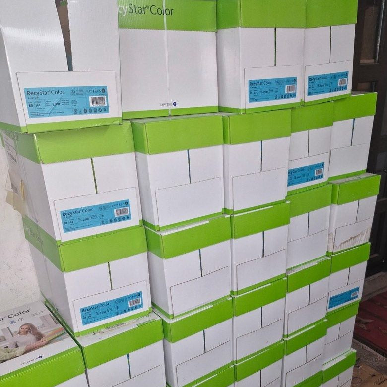 Kartons RecyStar Color Arcticblau auf Paletten